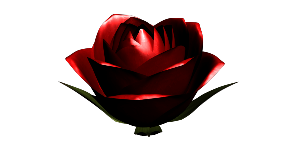 A Large Red Wedding Themed Rose Flower On A White Background